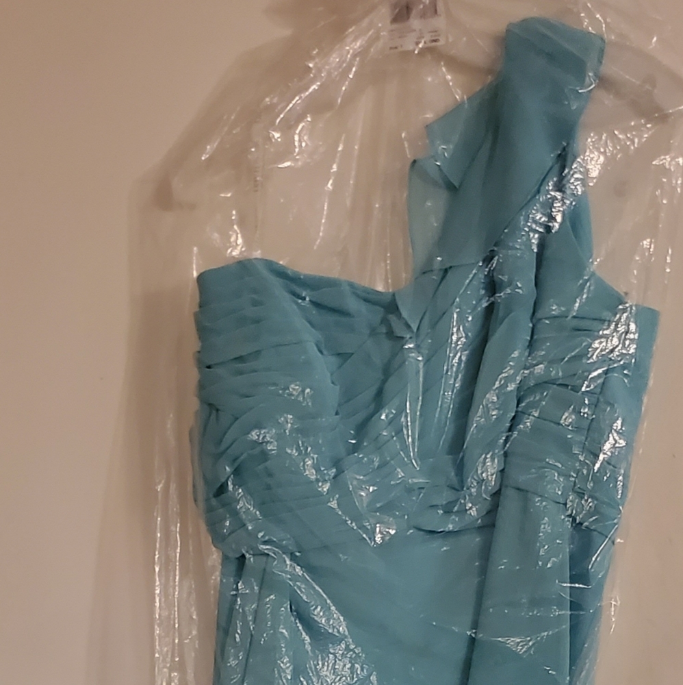 David's Bridal Bridesmaid dress